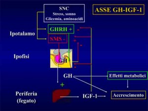 Asse-GH