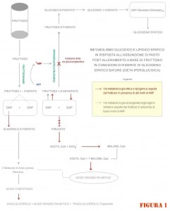 FRUTTOSIO-1