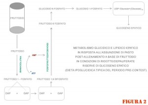 FRUTTOSIO-2