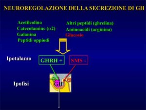 Nuroregolazione-GH